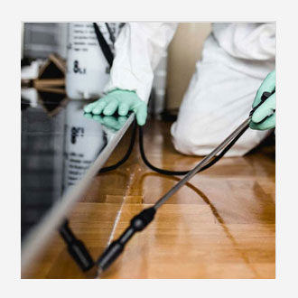 Pest Control Services in Bhosari | MS Deep Cleaning Services